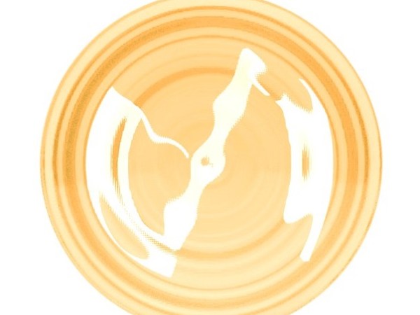 Fare vivere il&nbsp;grido