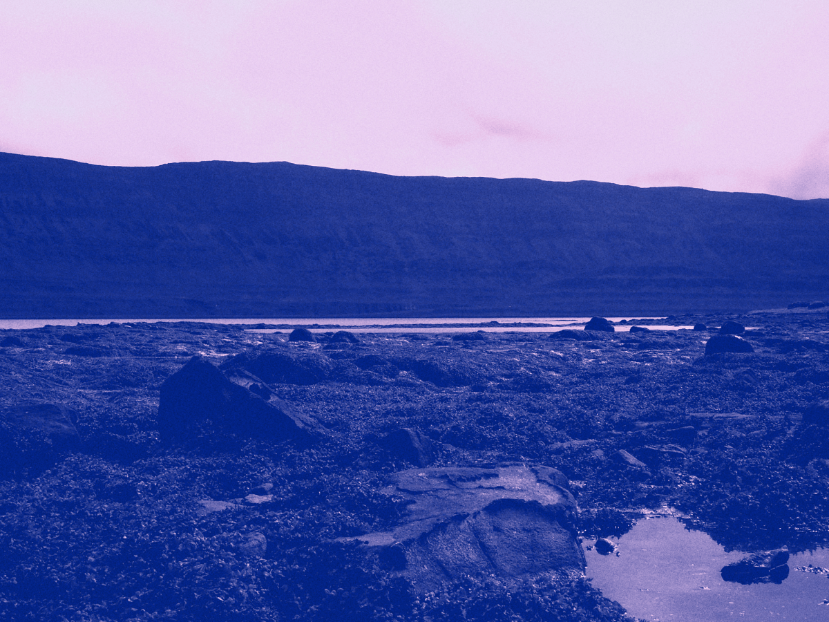 Riconnessioni: per un’ecologia della&nbsp;presenza