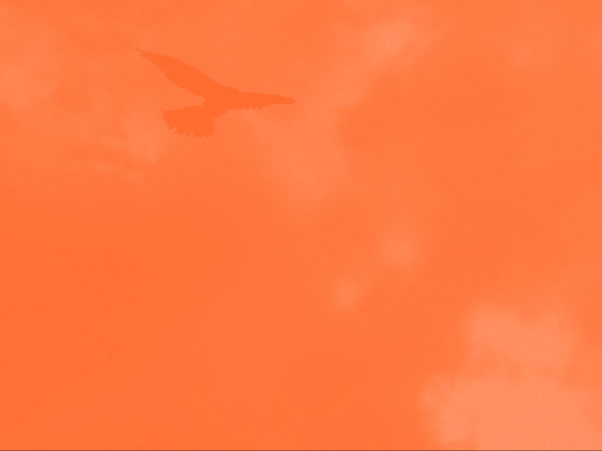 Inhabit: istruzioni per l’autonomia